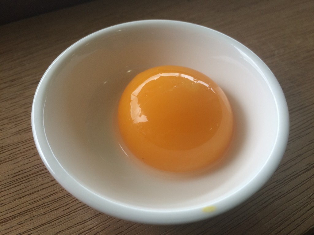 egg yolk - Copy
